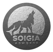 Sói Già Team